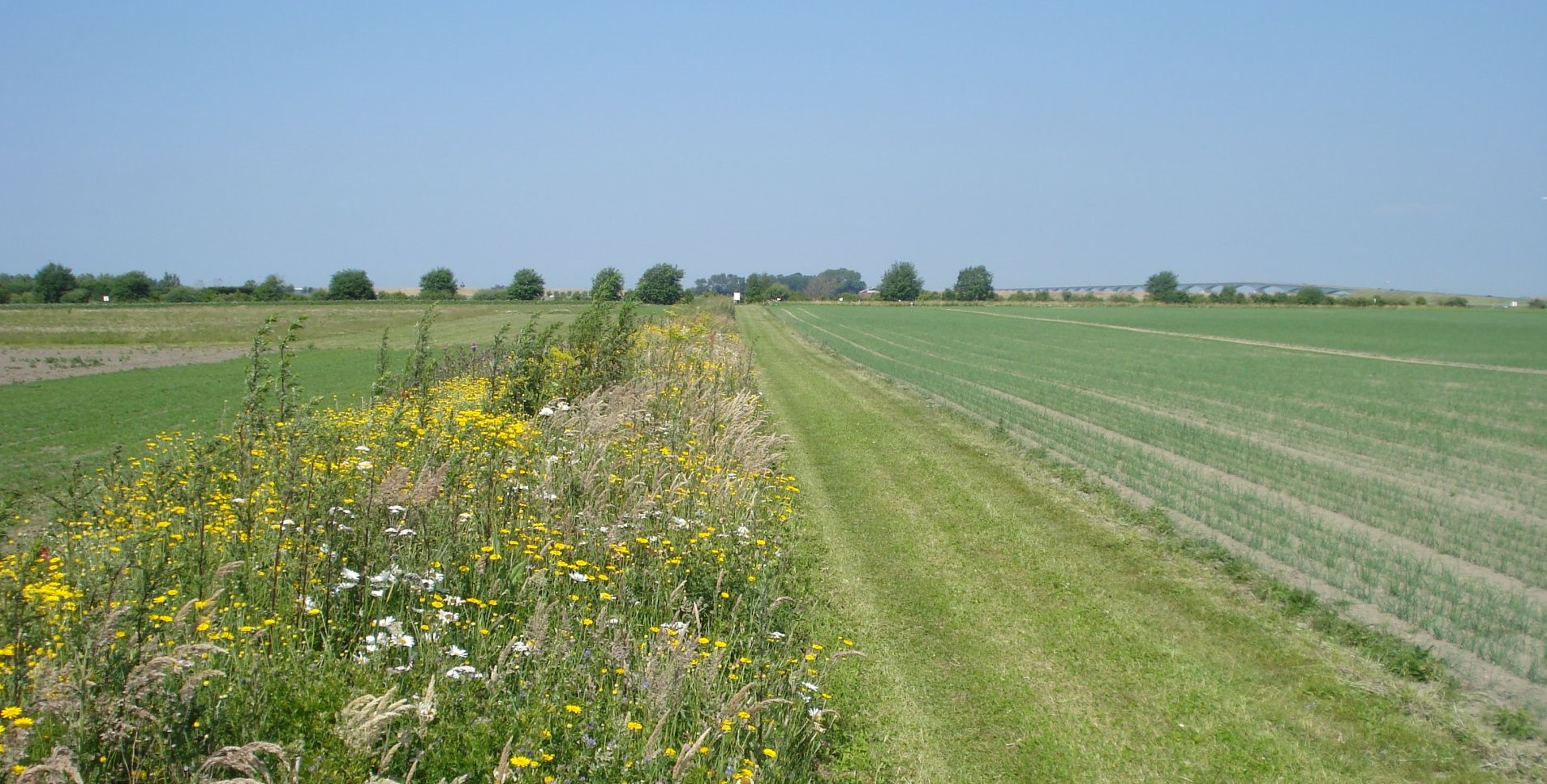 Natuurinclusieve landbouw