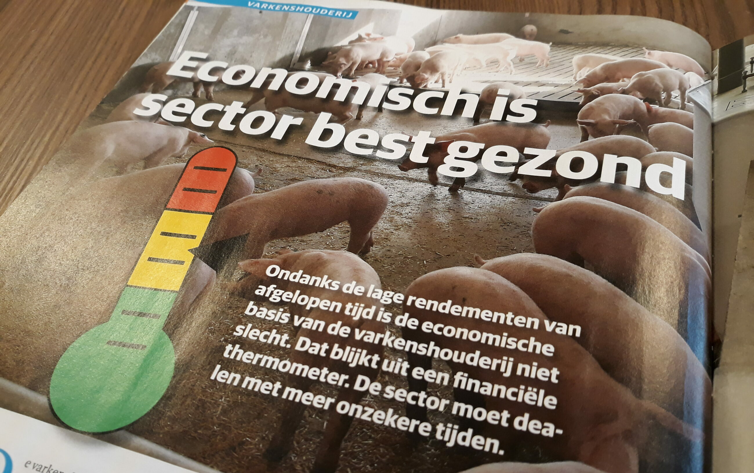 Economisch gezond