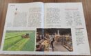 20240731 foto vakblad Boerderij